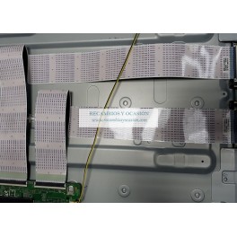 CABLES LVDS BN96-39820D BN96-39903A SAMSUNG UE55KU6000